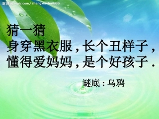 一语下第五单元第19课《乌鸦喝水》课件