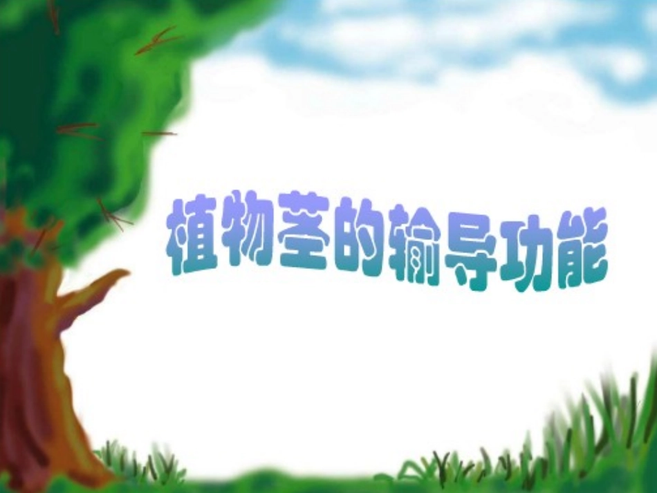 植物茎的输导功能_第3页