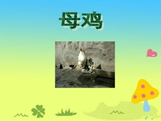 《母鸡》参考课件