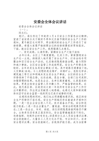 安委会全体会议讲话发言