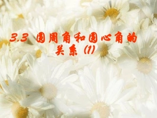 圆周角与圆心角的关系