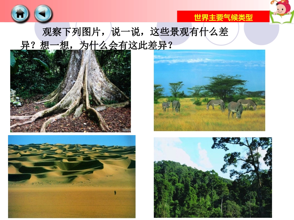 七上第四章第四节世界主要气候类型（共20张PPT）_第2页