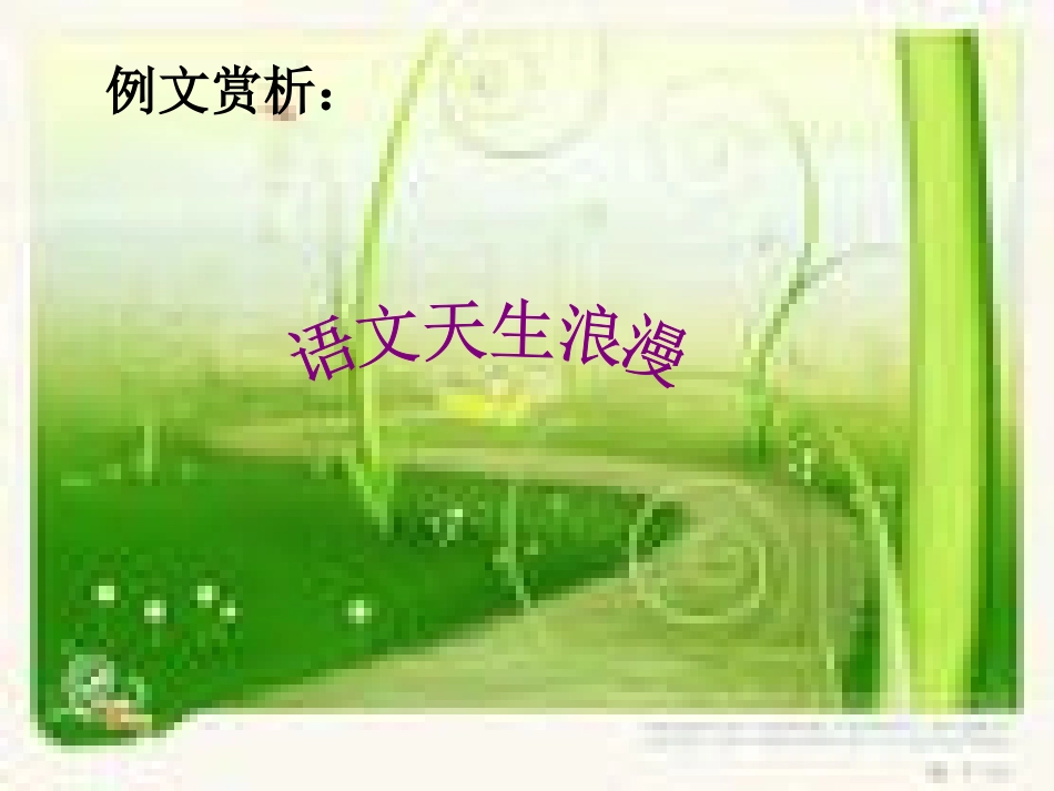 作文专题系列讲座_第2页