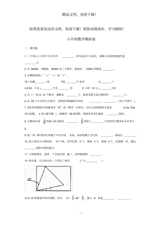 小升初数学试卷4套含答案打印版
