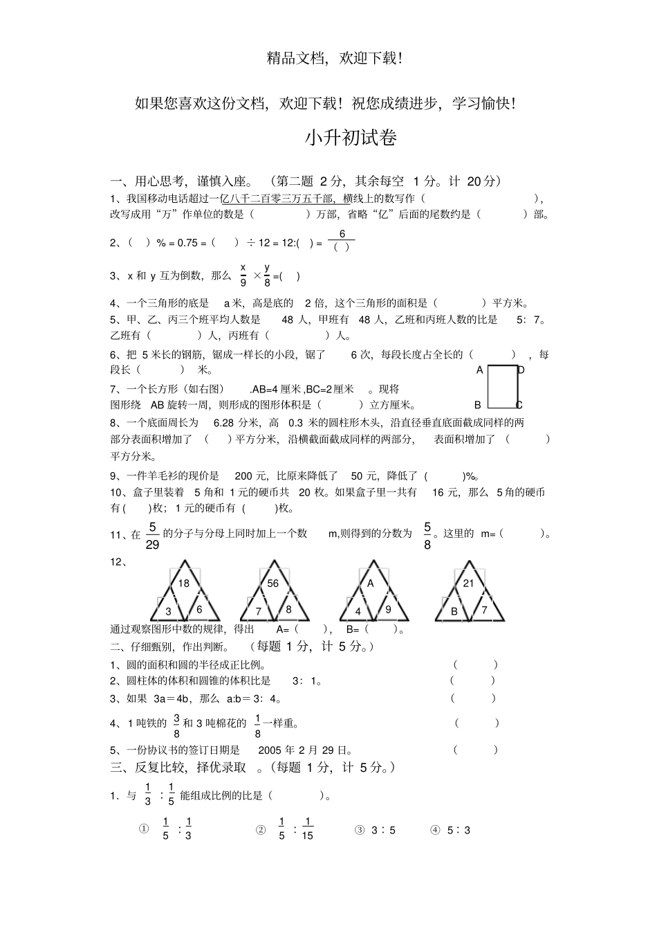 小升初试卷1_第1页
