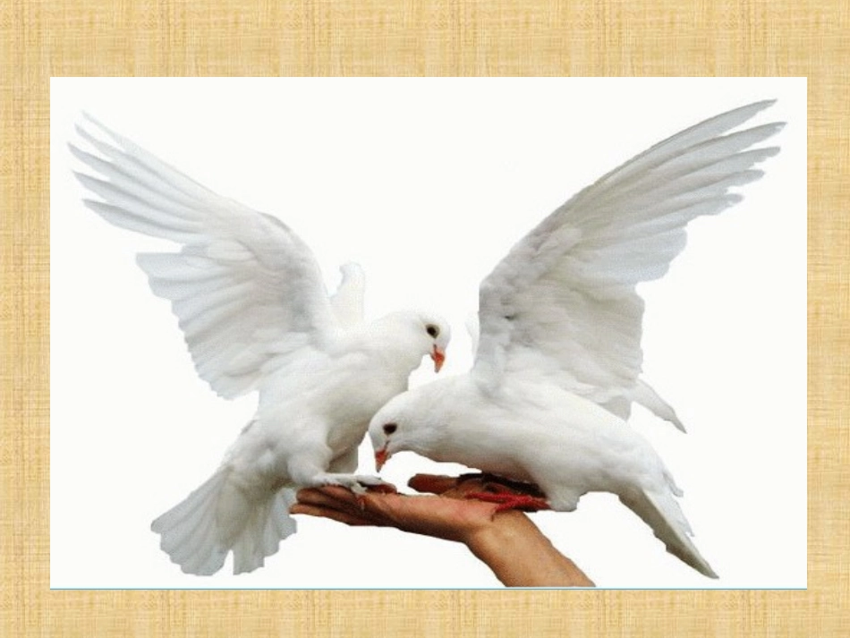 儿童和平条约_第1页