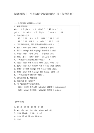 小升初语文试题精选汇总包含答案