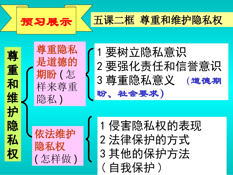 隐私受保护(1)_第3页