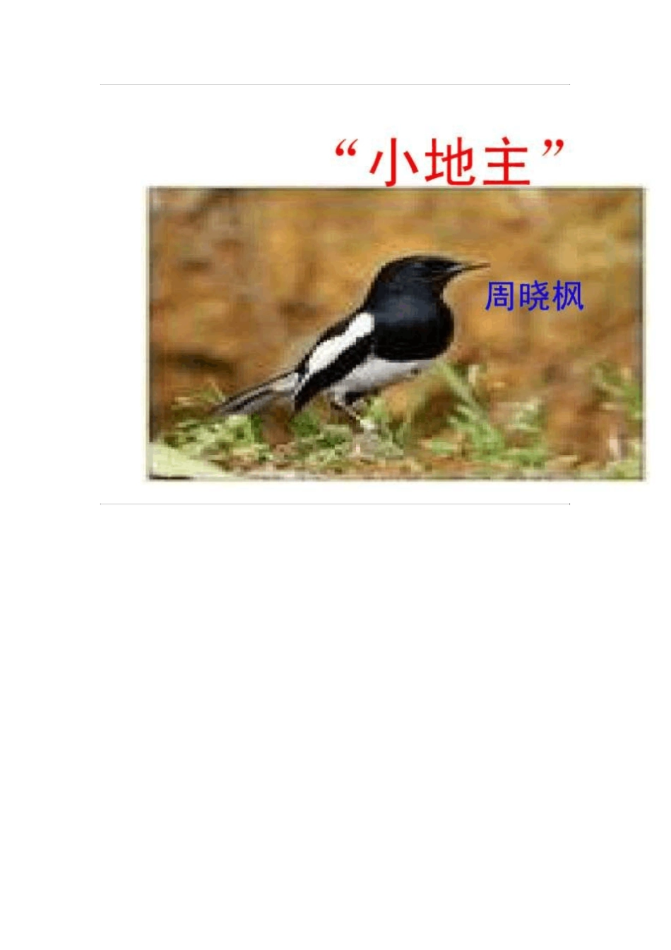 小地主观能动性_第3页