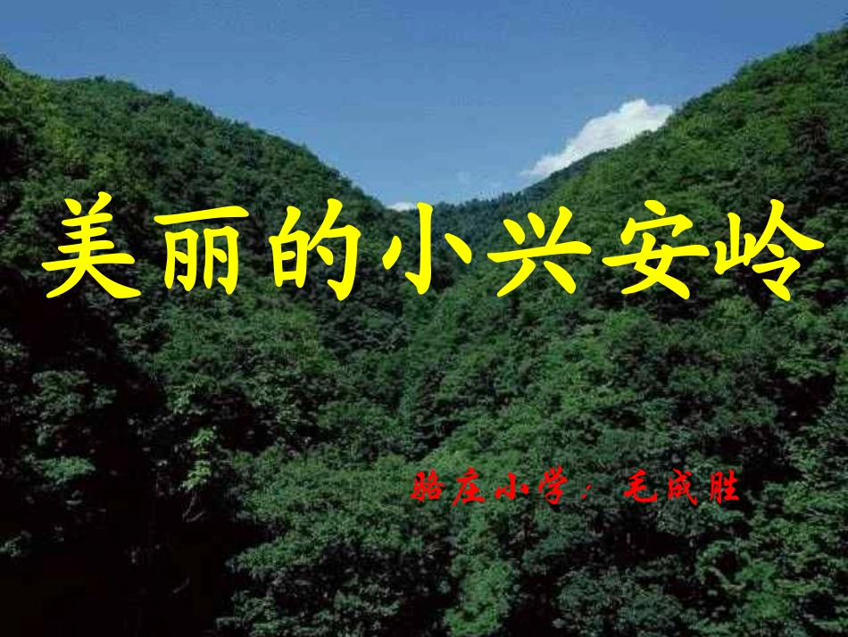 美丽的小兴安岭毛成胜_第1页