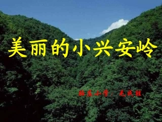 美丽的小兴安岭毛成胜