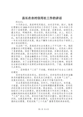 县长在农村信用社工作的讲话发言