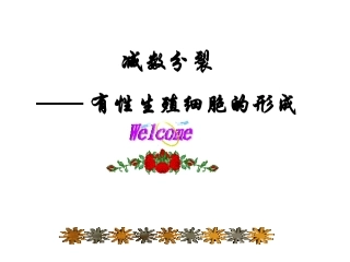 减数分裂与有性生殖细胞的形成(精品课件)