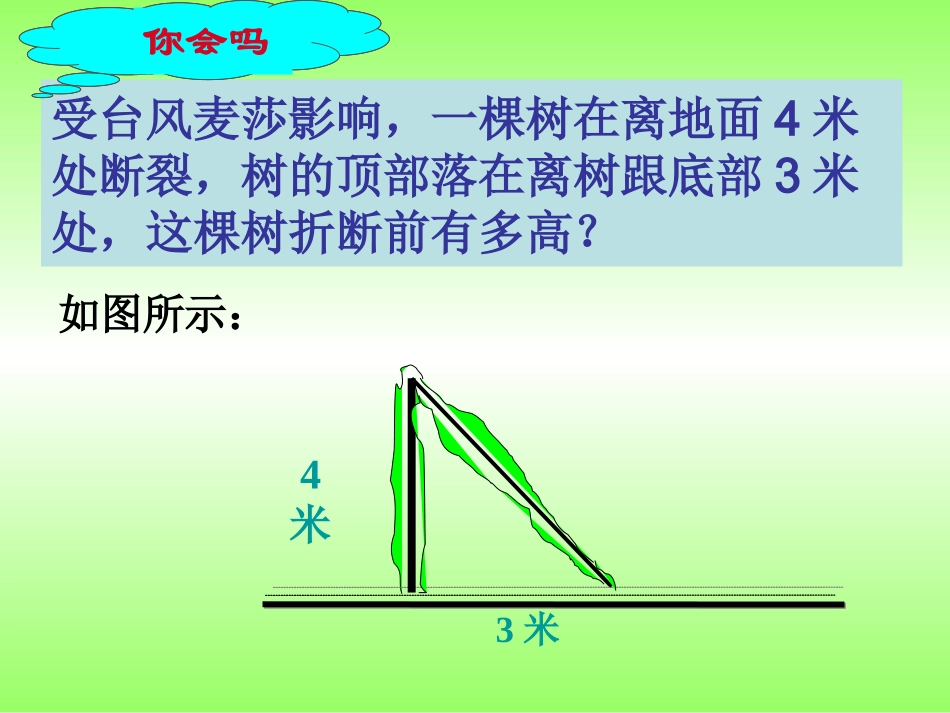 直角三角形三边关系_第2页
