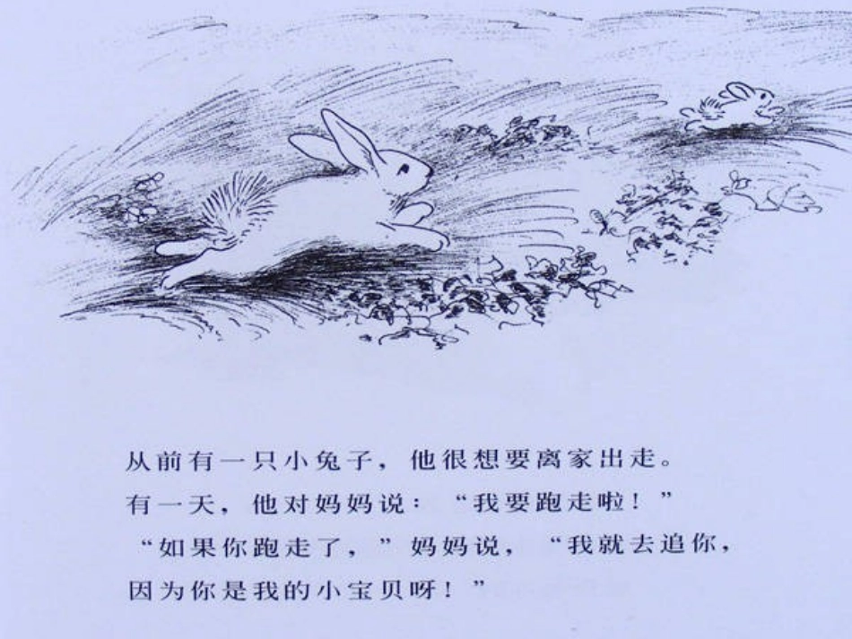 《逃家小兔》_第2页