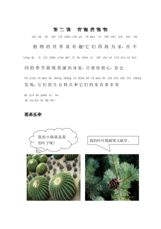 第二课有趣的植物