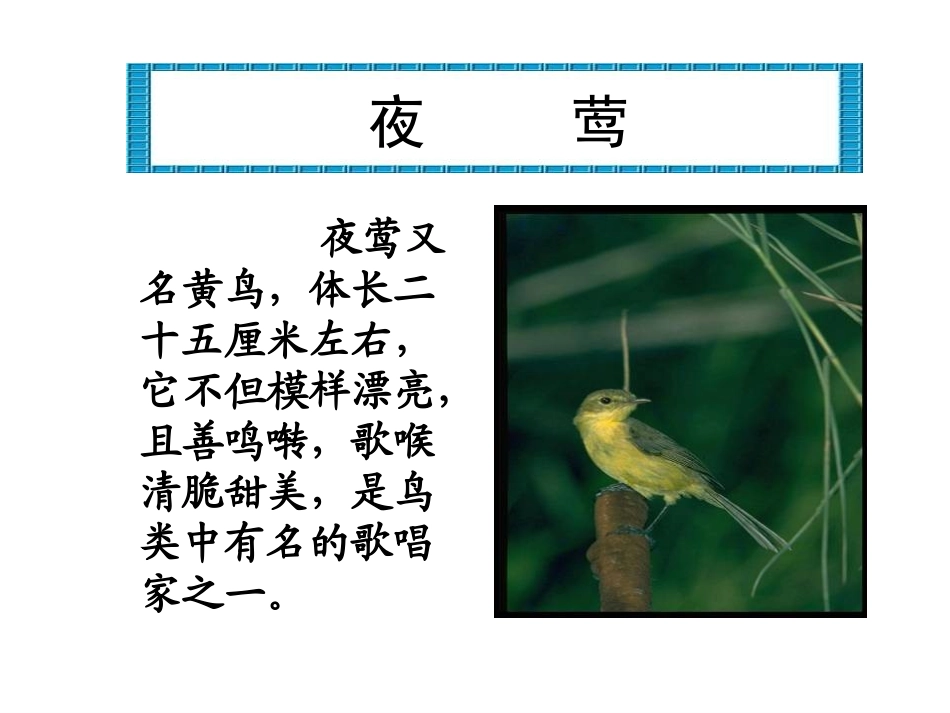 人教版四年级语文下册《夜莺的歌声》公开课_第2页