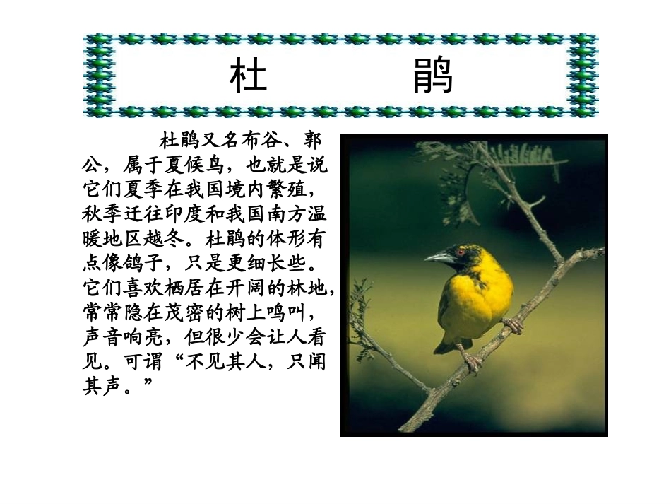 人教版四年级语文下册《夜莺的歌声》公开课_第3页