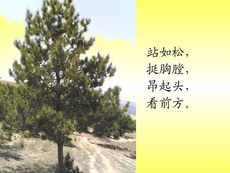 坐立走有精神_第3页