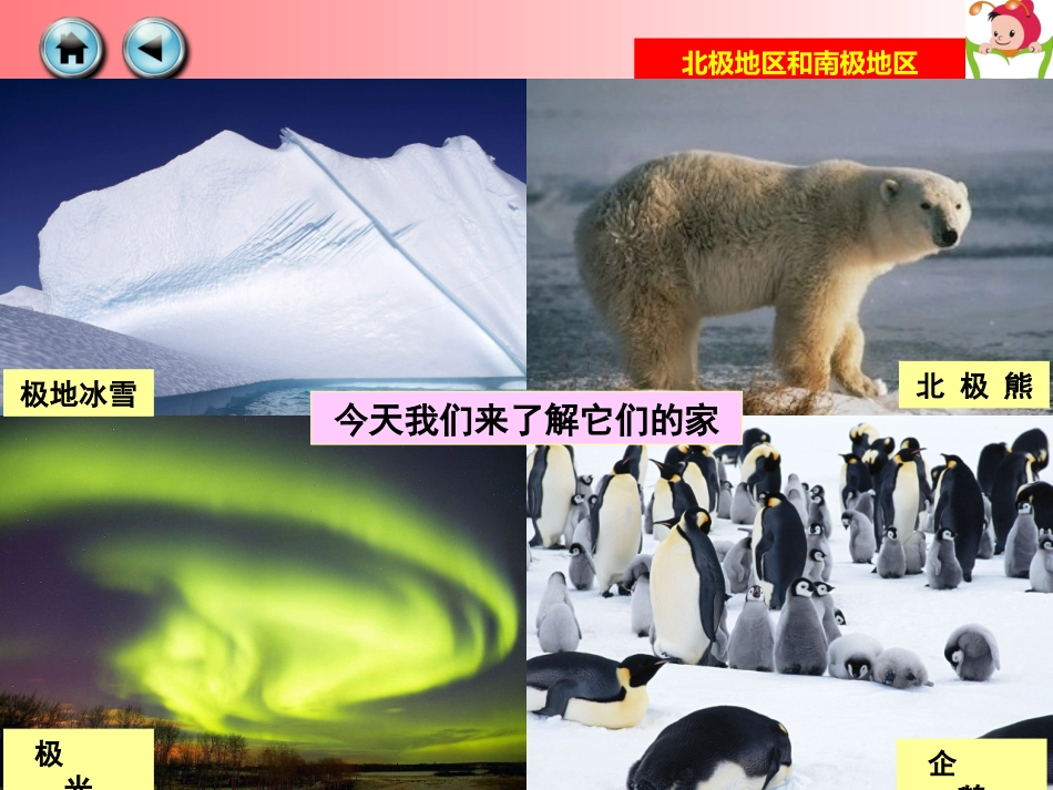 北极地区和南极地区_第3页