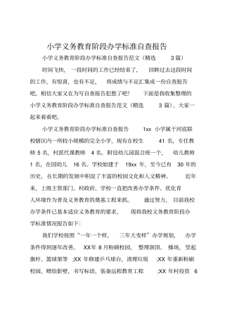 小学义务教育阶段办学标准自查报告