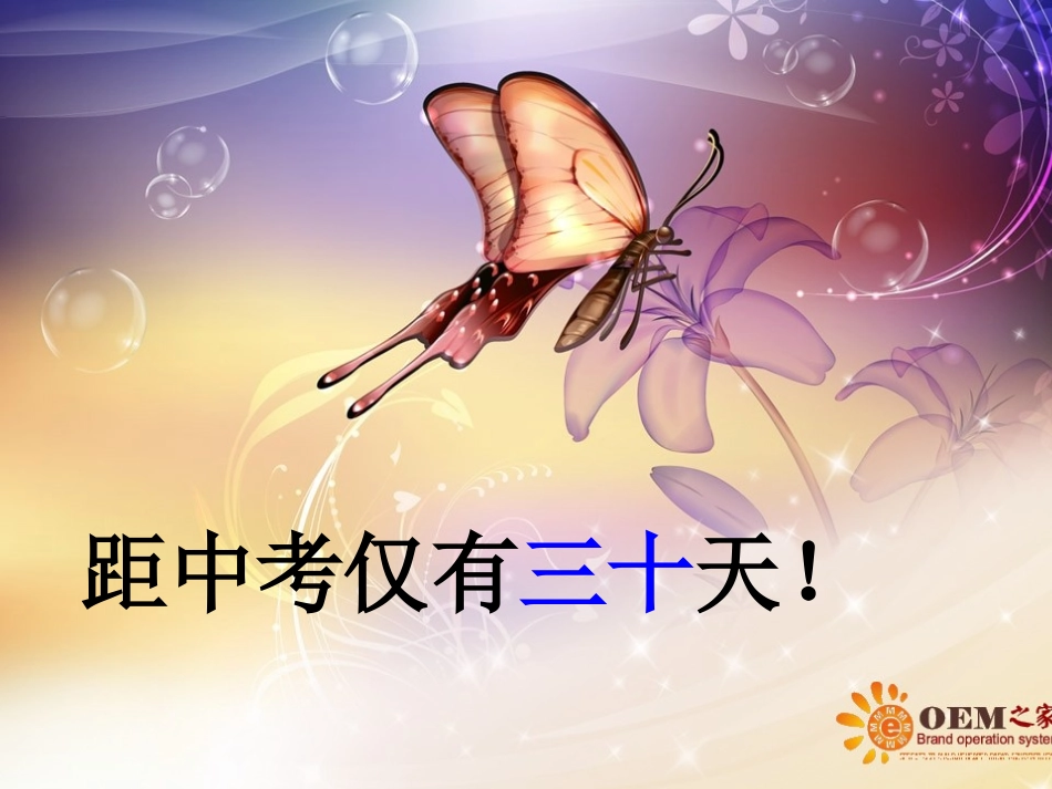 中考冲刺班会课件_第2页