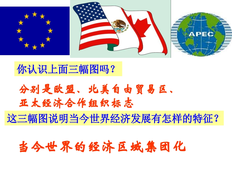 世界经济的区域集团化_第2页