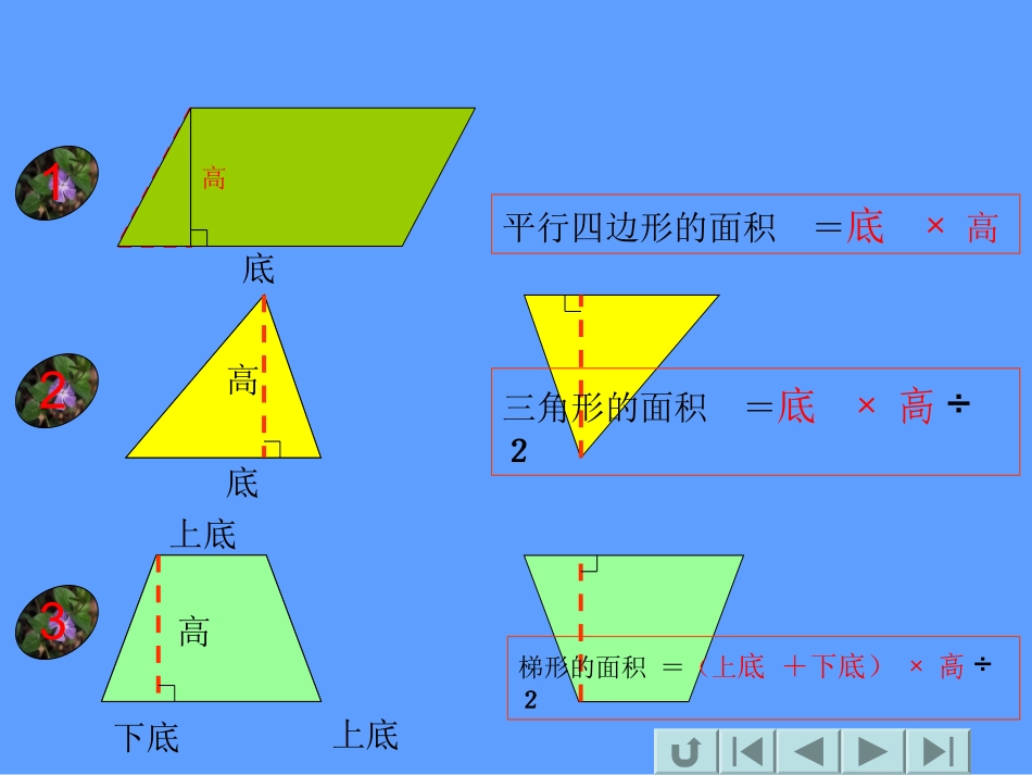 圆的面积（课件）_第2页