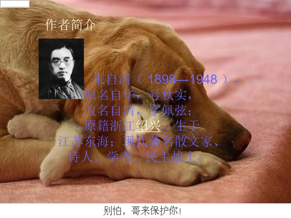 朱自清的《匆匆》课件_第3页