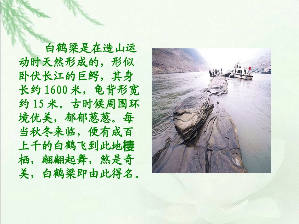 《白鹤梁的沉浮》课件_第3页