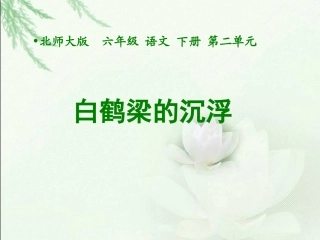 《白鹤梁的沉浮》课件