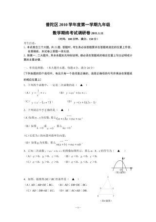 普陀区2010学年度第一学期九年级期终考试调研卷