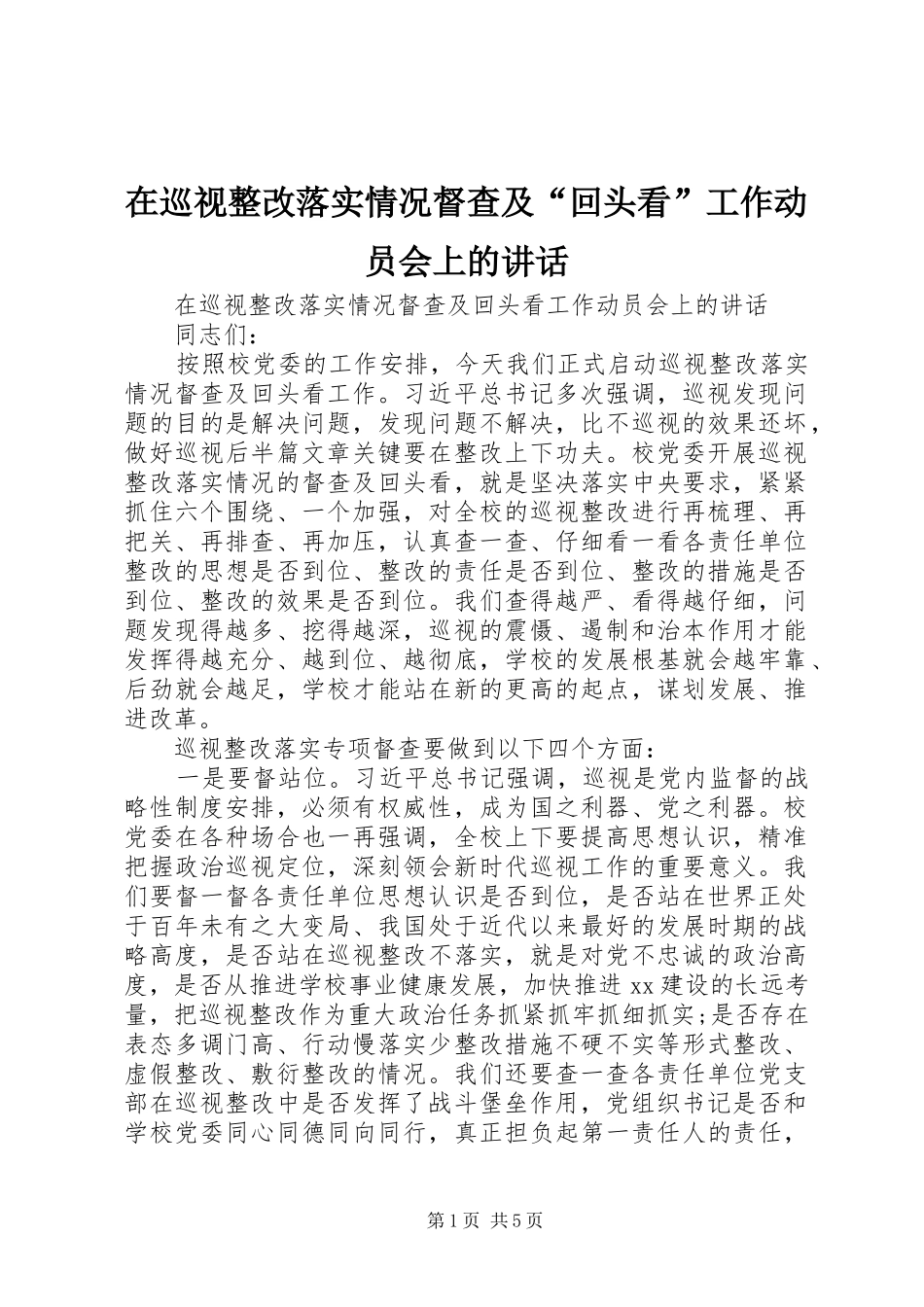 在巡视整改落实情况督查及“回头看”工作动员会上的讲话发言_第1页