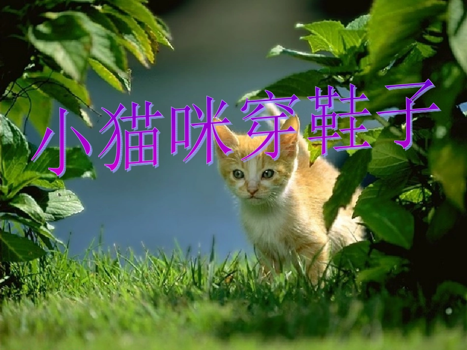 《小猫咪穿鞋子》教学课件（课文讲解）_第1页