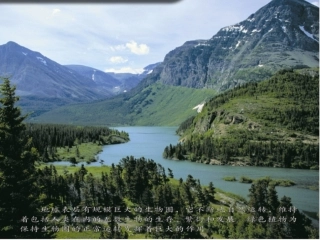 丛绿色植物是食物之源