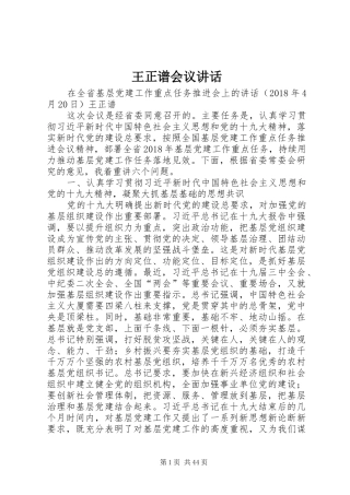 王正谱会议讲话发言