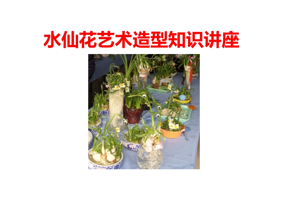水仙花艺术造型知识讲座_第1页