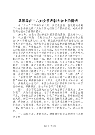 县领导在三八妇女节表彰大会上的讲话发言_1