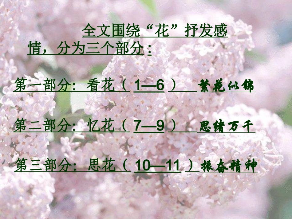 紫藤萝瀑布2_第2页