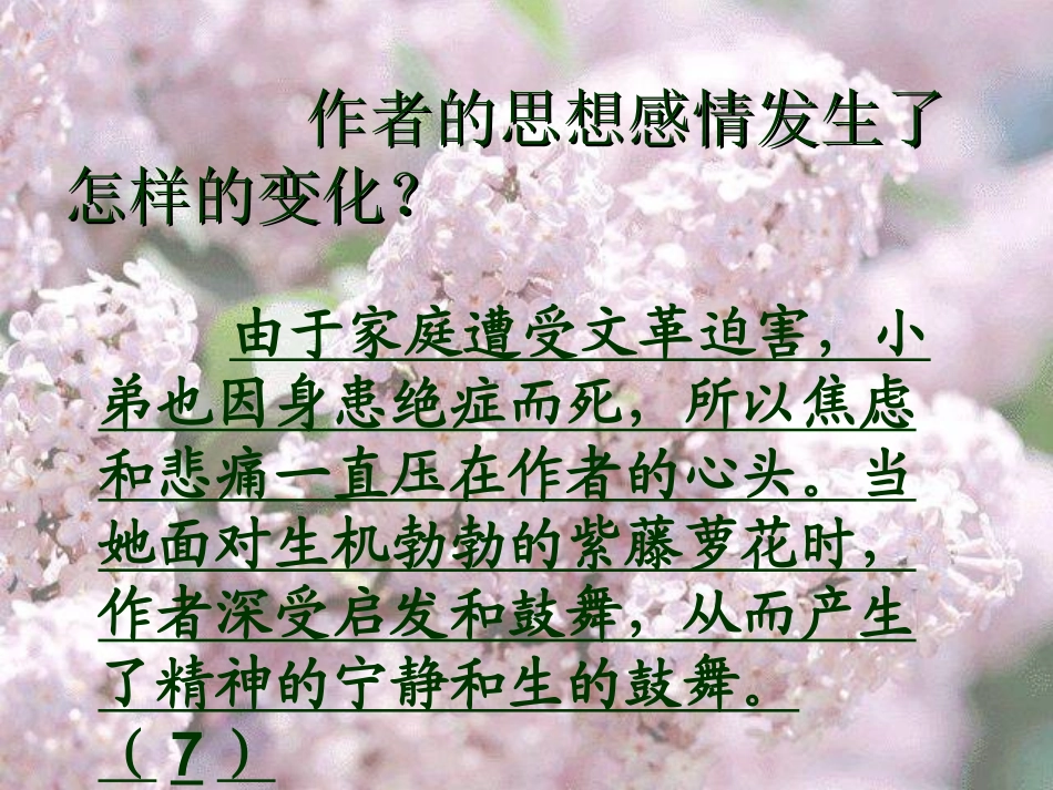 紫藤萝瀑布2_第3页