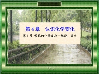 常见的化学反应第课时