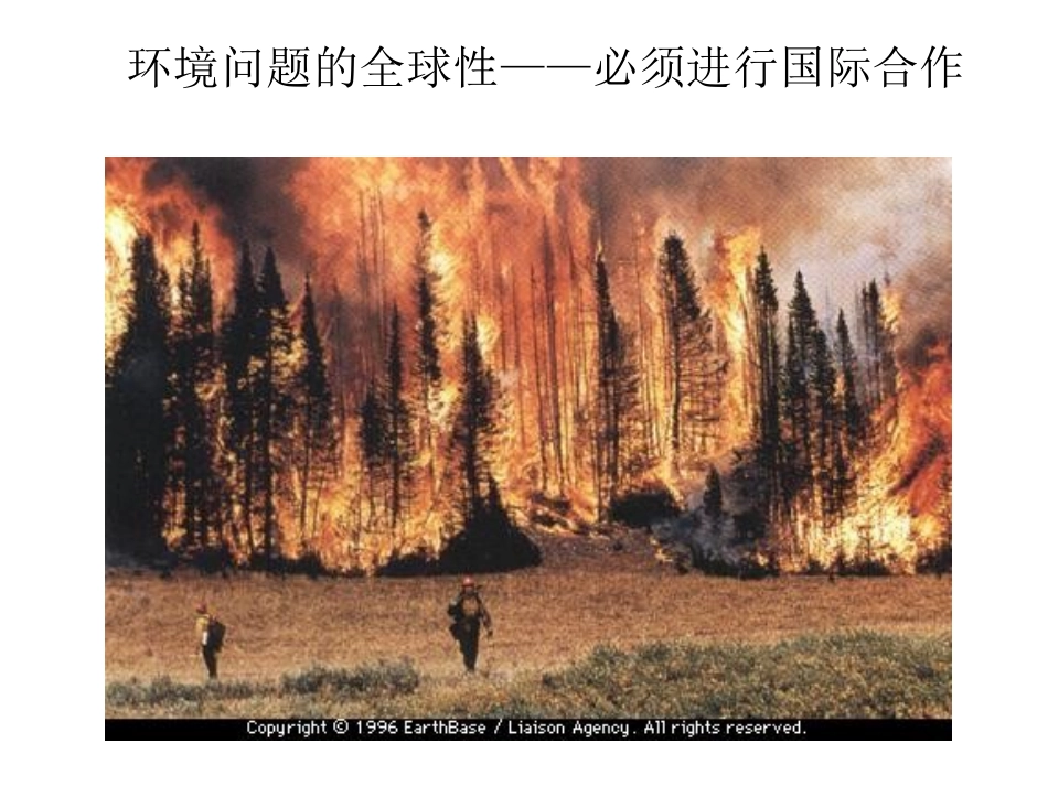 人教课标版高中地理选修6第五章　公共管理及公众参与第2节《环境管理的国际合作》参考课件（共8张PPT）_第2页
