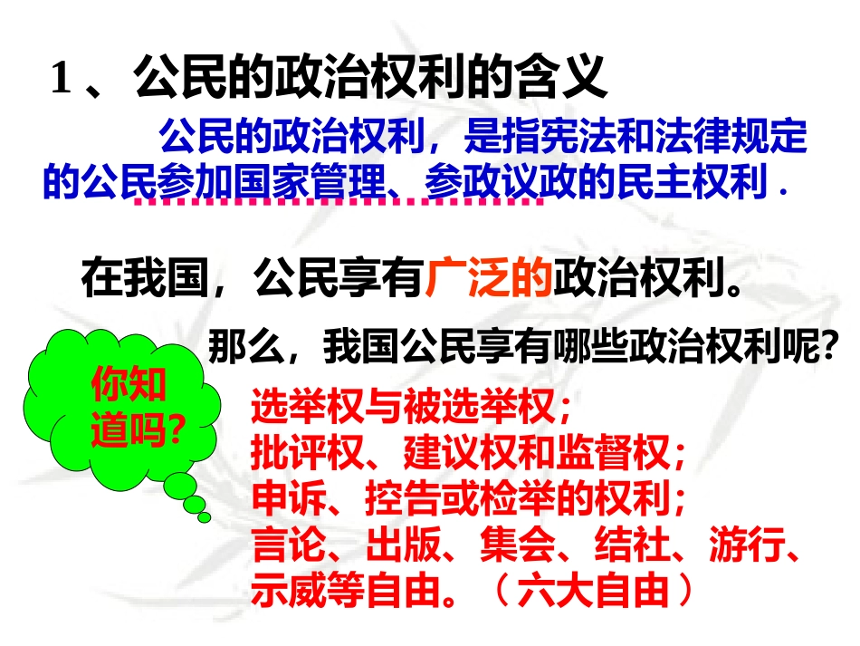 依法参与政治生活课件_第3页