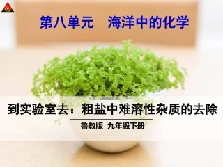到实验室去粗盐中难溶性杂质的去除