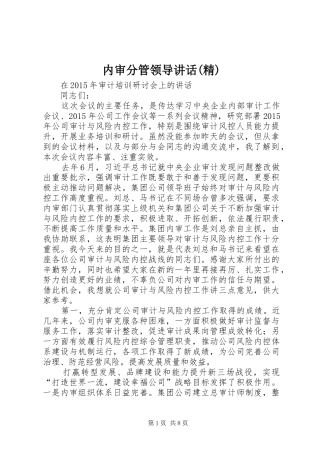 内审分管领导讲话发言(精)