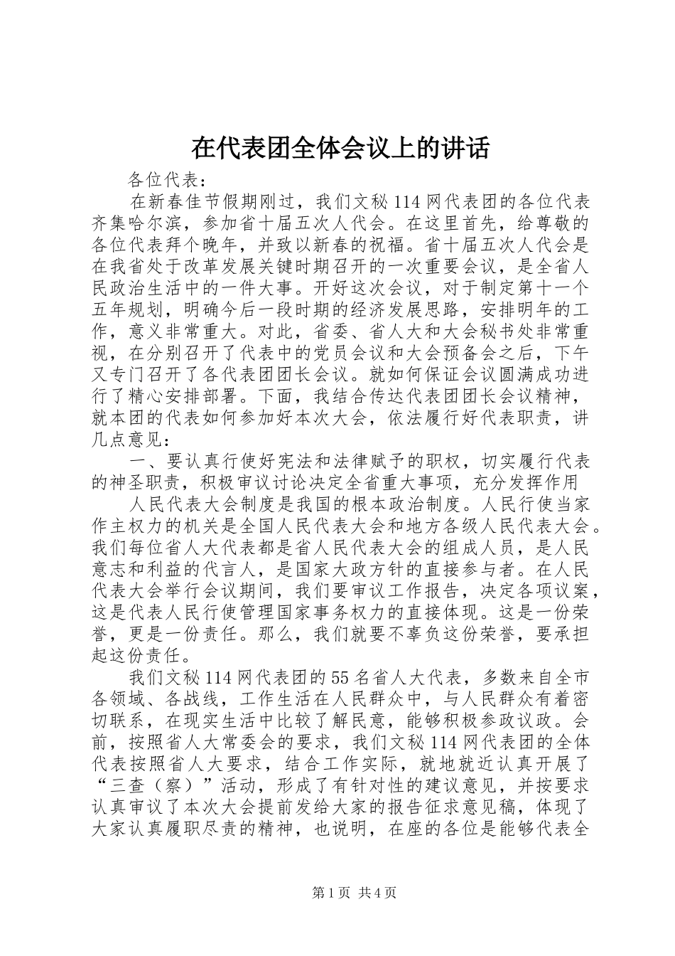 在代表团全体会议上的讲话发言_第1页