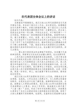 在代表团全体会议上的讲话发言