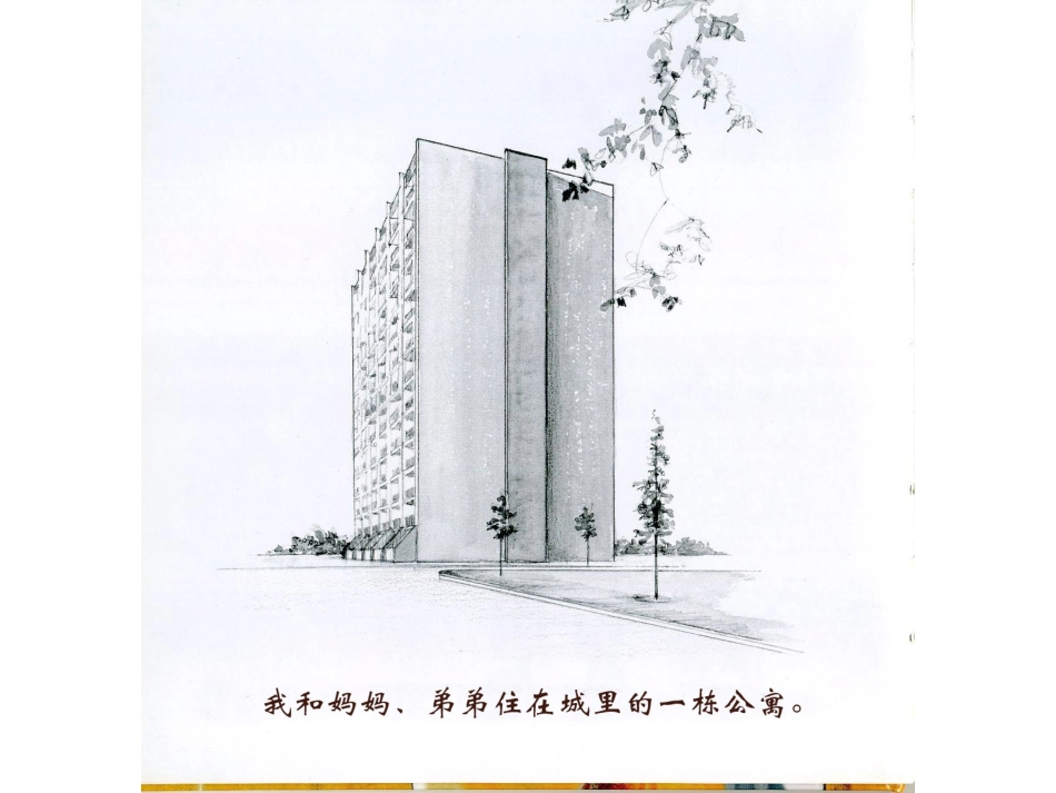 妈妈和爸爸不在一起了_第3页