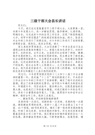 三级干部大会县长讲话发言
