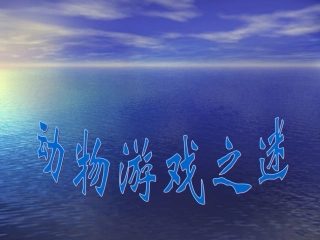 《动物游戏之谜》课件
